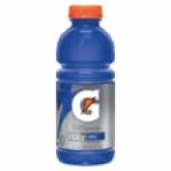 Gatorade&reg; 308-32482